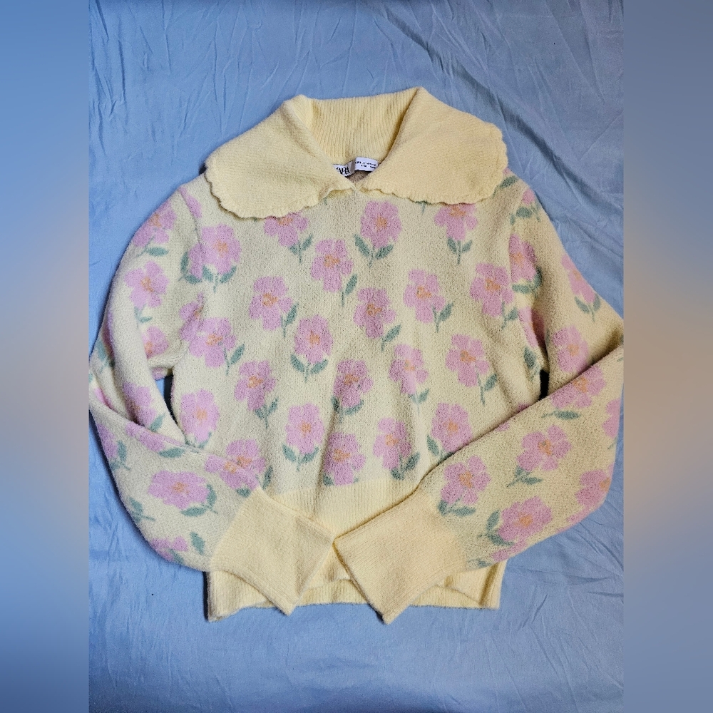 Zara printed bib collar sweater.